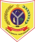 Logo UPT RSUD Kotapinang Kabupaten Labuhanbatu Selatan
